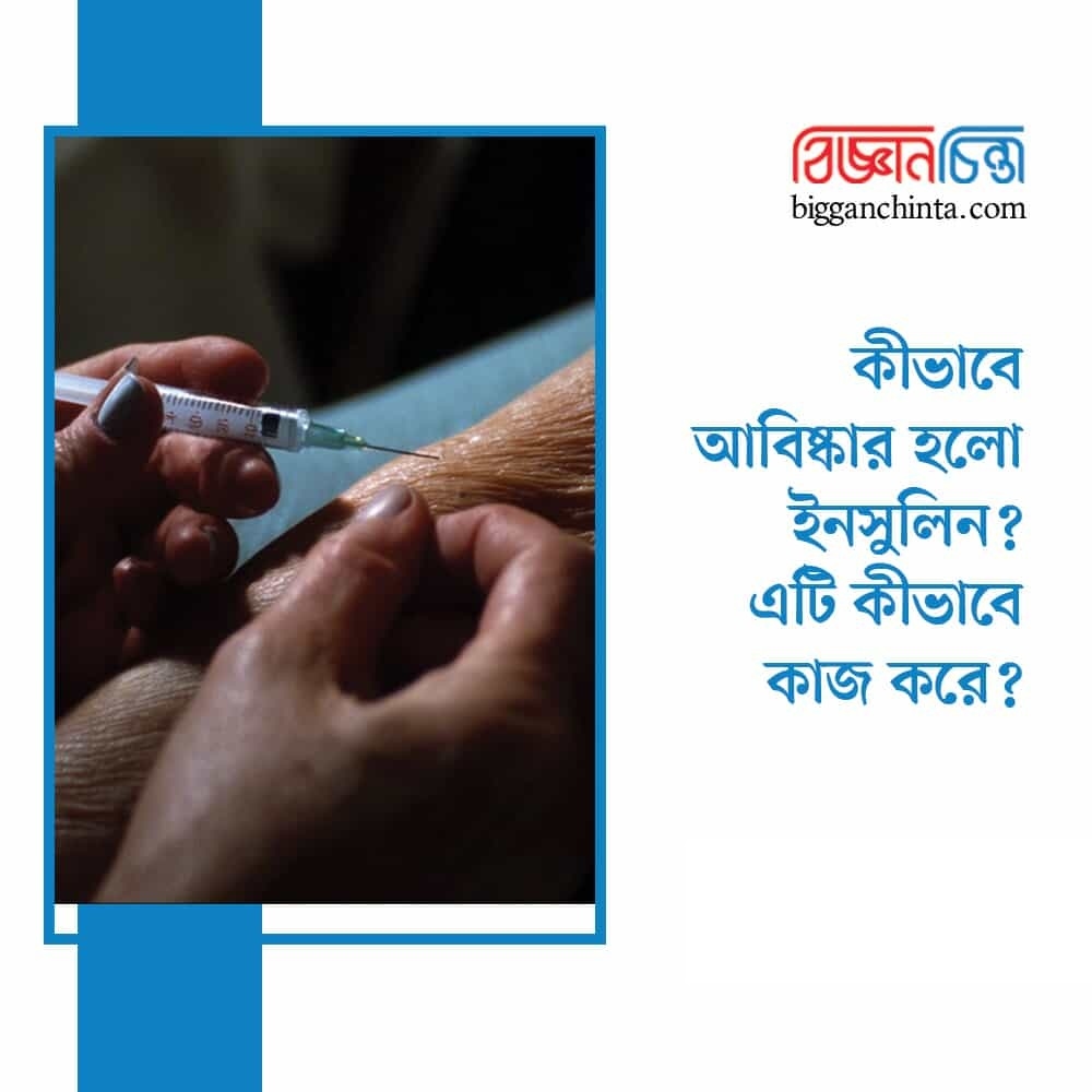 ইনসুলিন আবিষ্কার হলো কীভাবে